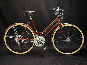 1974 Schwinn Suburban